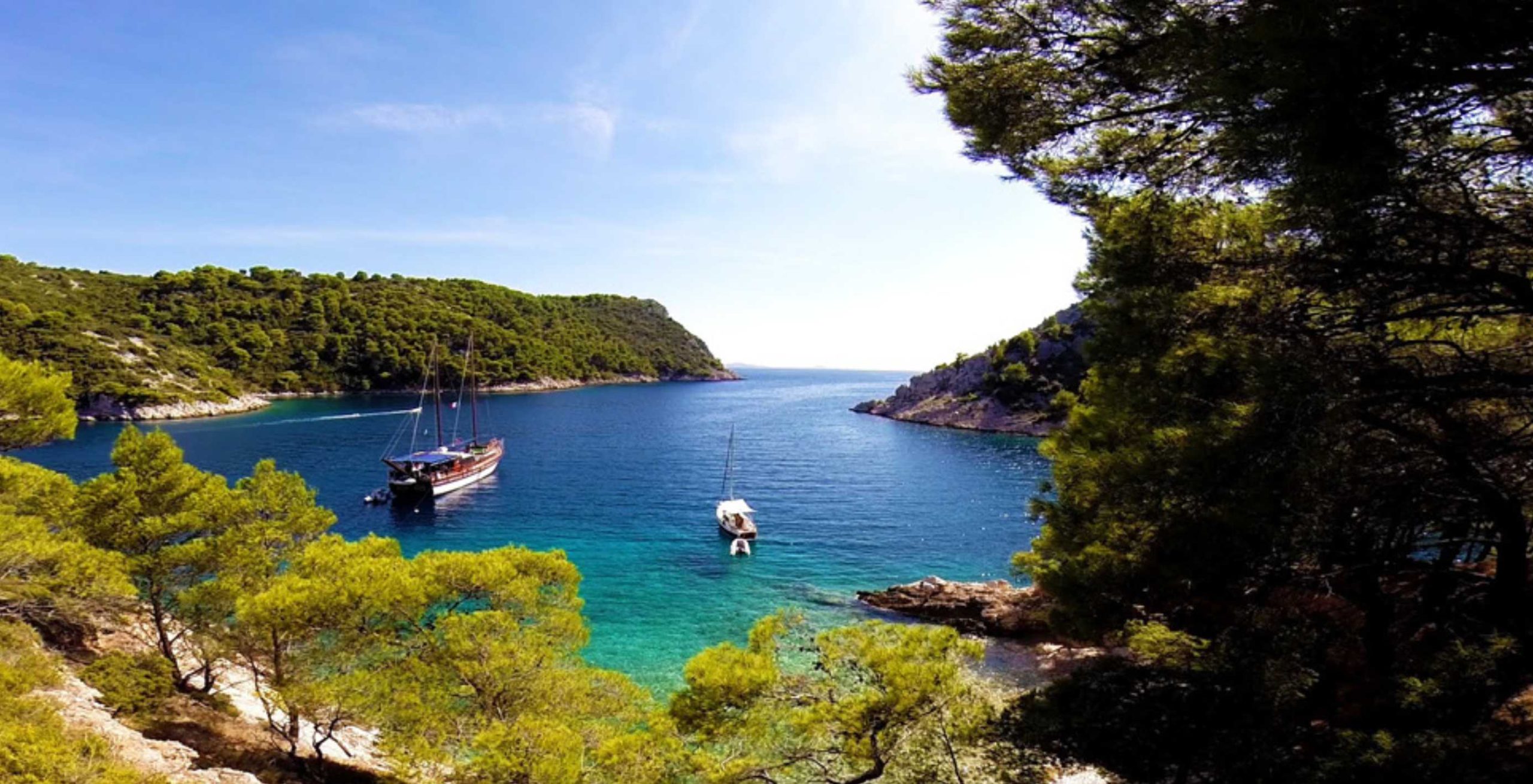 Plage et eau claire sur la côte dalmate