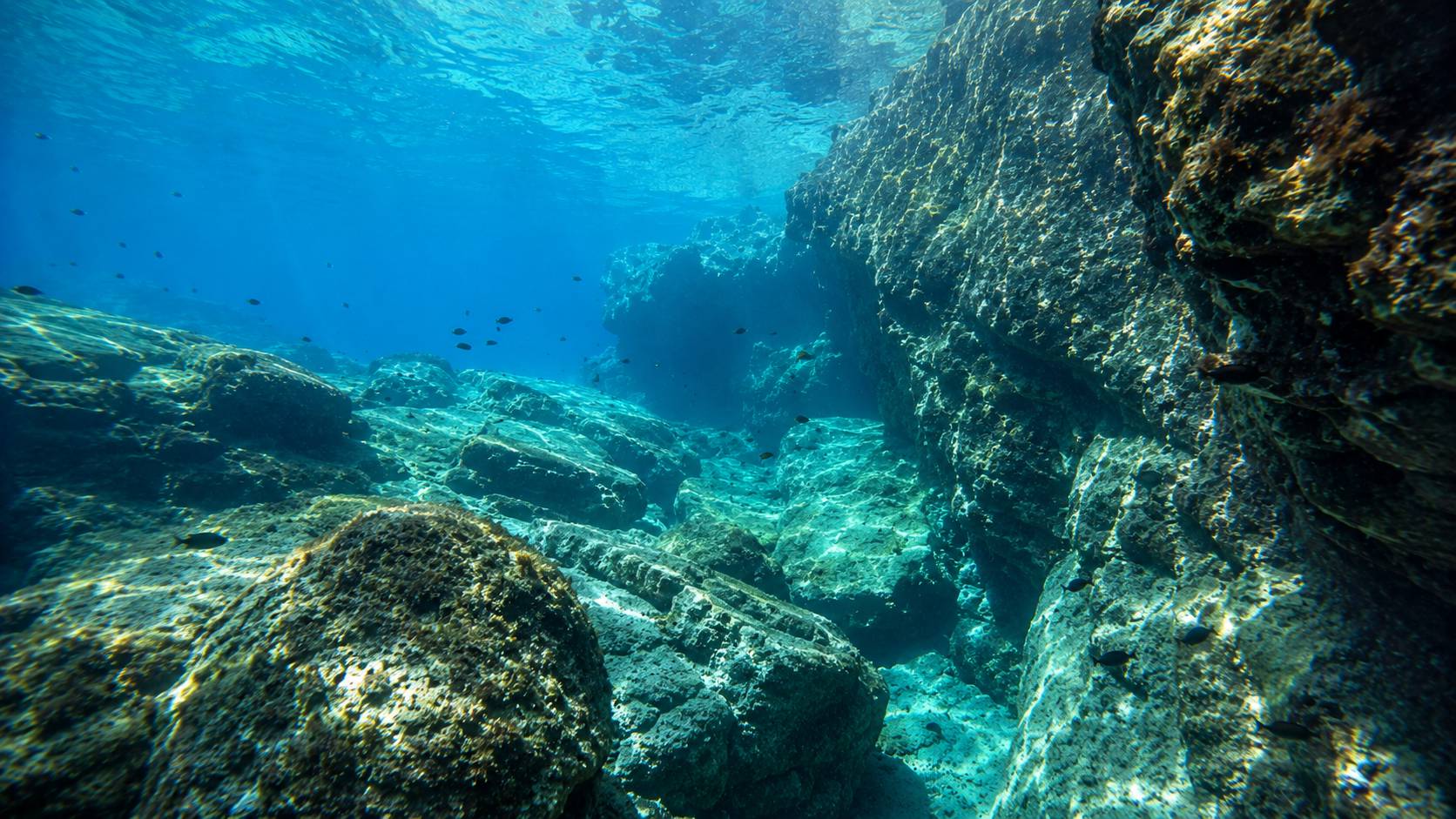 Diver gliding over a sunlit reef in the Adriatic near Split